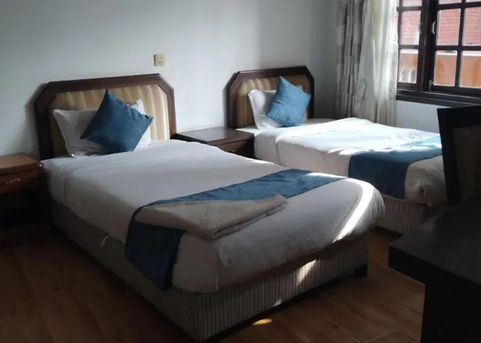 Nest Apartment